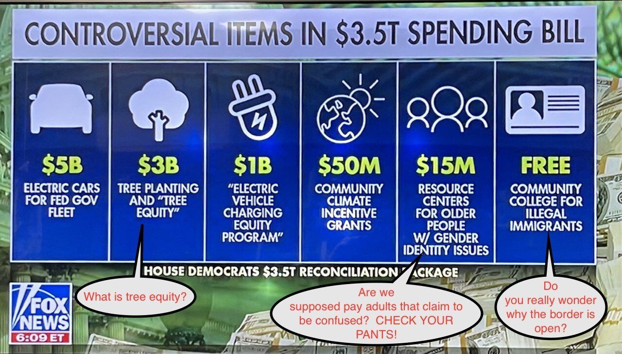 Graphic: Controversial items in a $3.5T spending bill. Items include electric cars, tree planting, and community college.