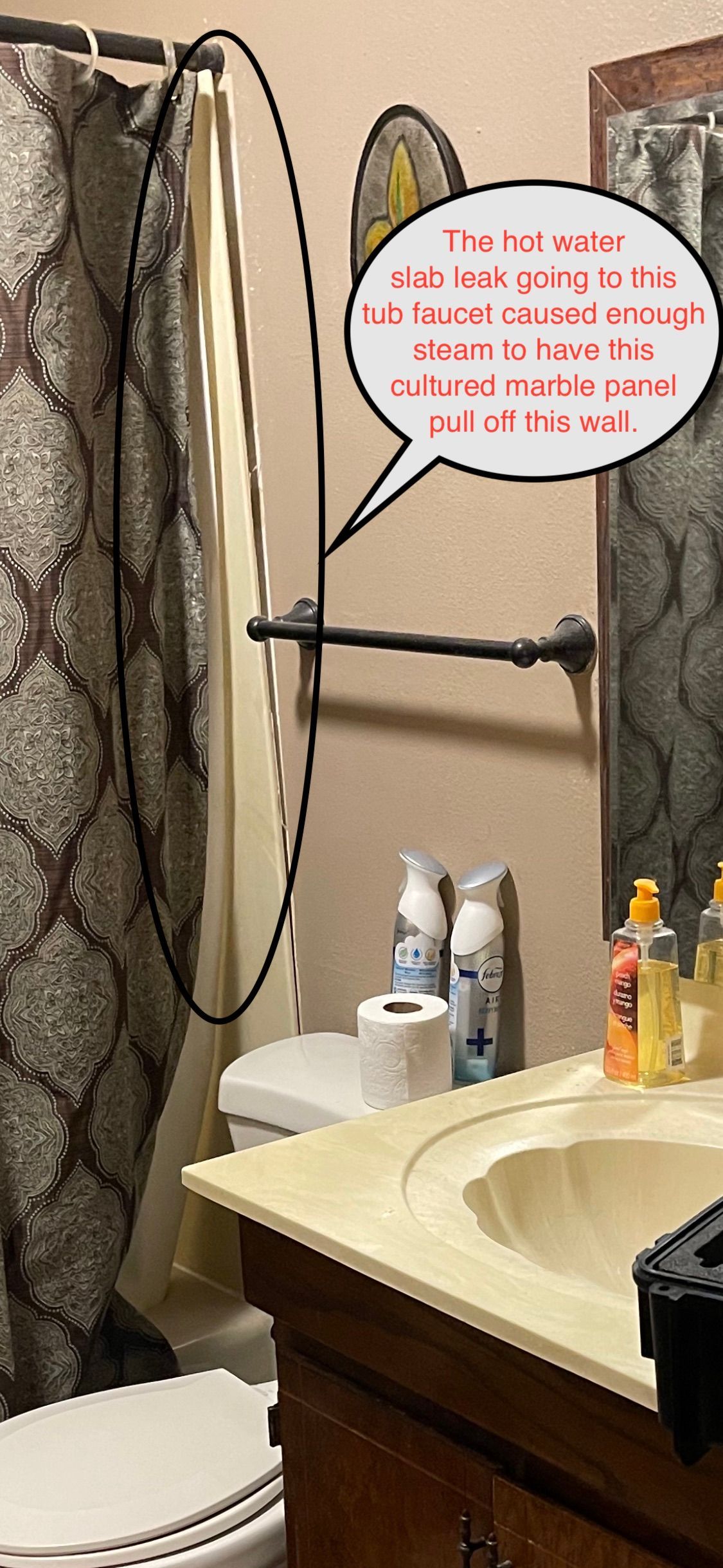 Bathroom with sink, towel rack, shower curtain, and a comic speech bubble wall sign.