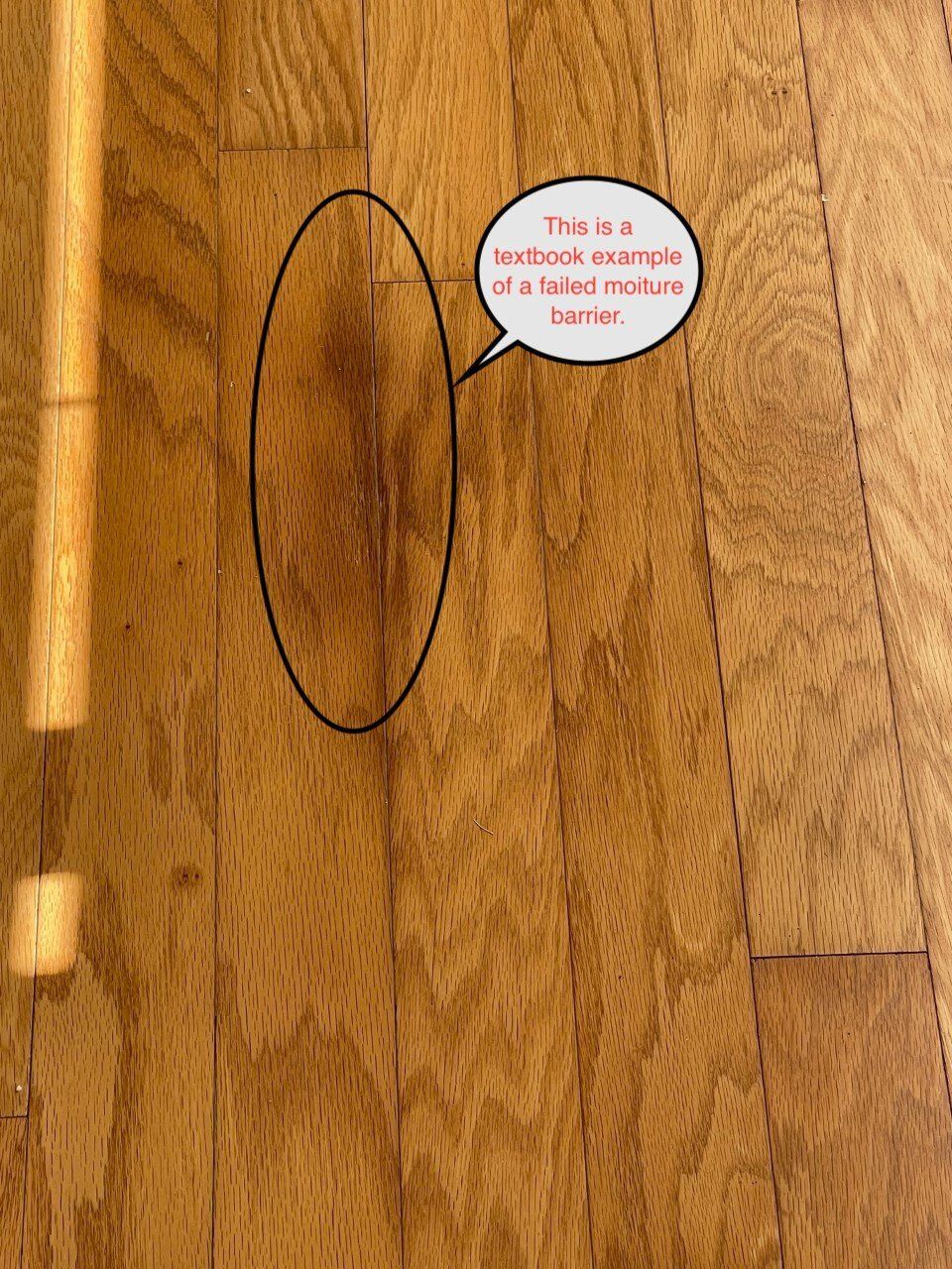 Wood floor with a black outlined oval and a small speech bubble saying โThis is a hidden example of somethingโ