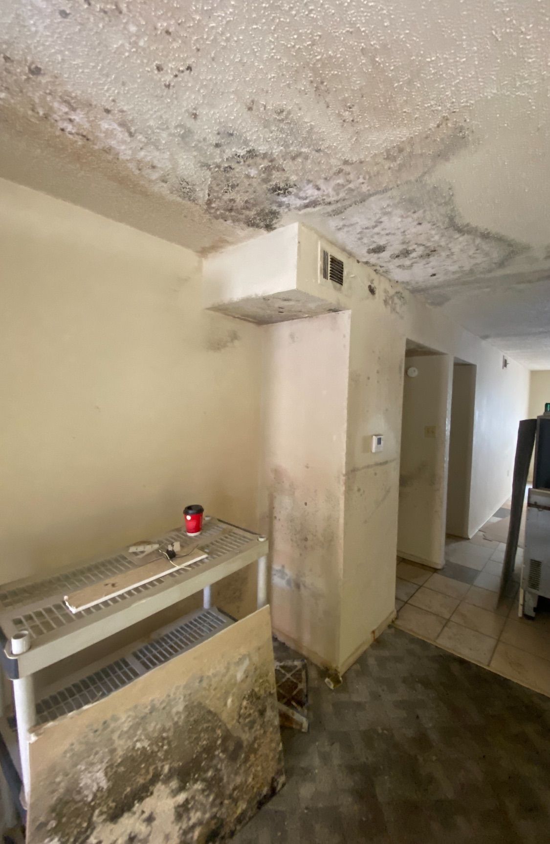 Mold-damaged indoor hallway with peeling ceiling and walls, stained counter, and open doorway.
