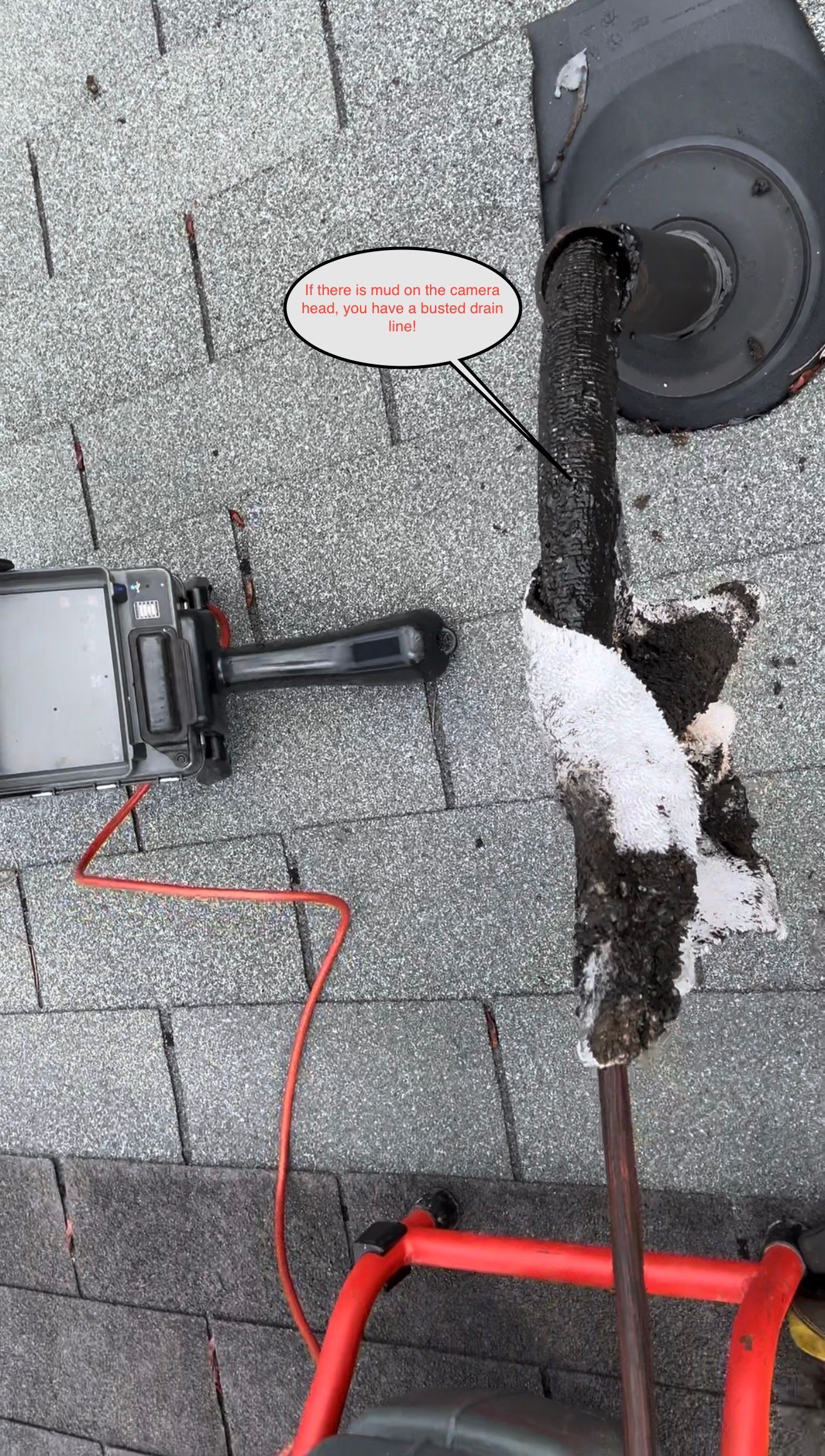 Bloody bird attached to a black device on gray shingles beside a red-handled tool and cord
