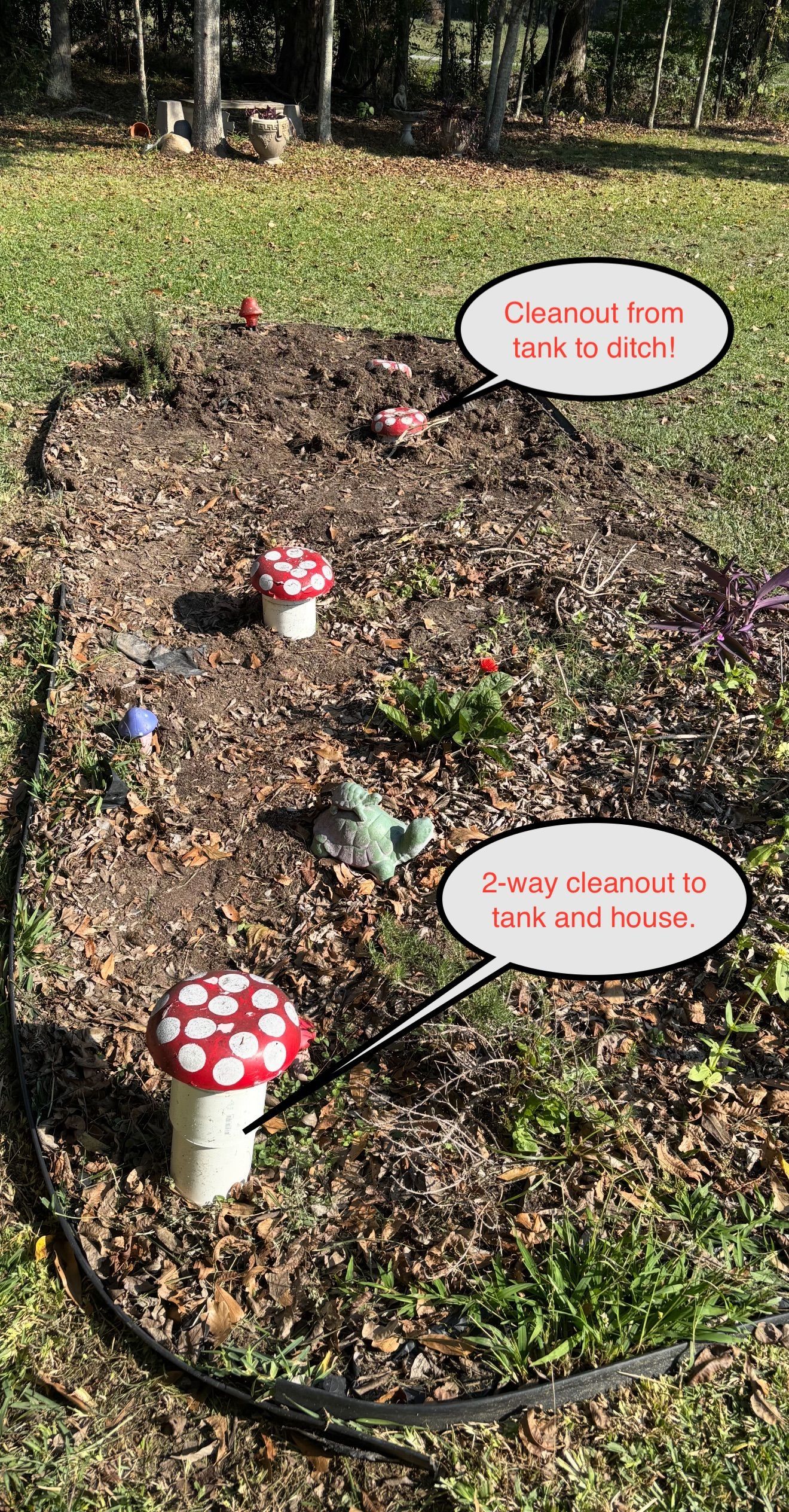 Mushrooms and small signs in a garden bed with a black border and wooded background.