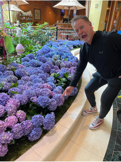Man pointing to a bed of purple and blue hydrangeas. Indoor setting.