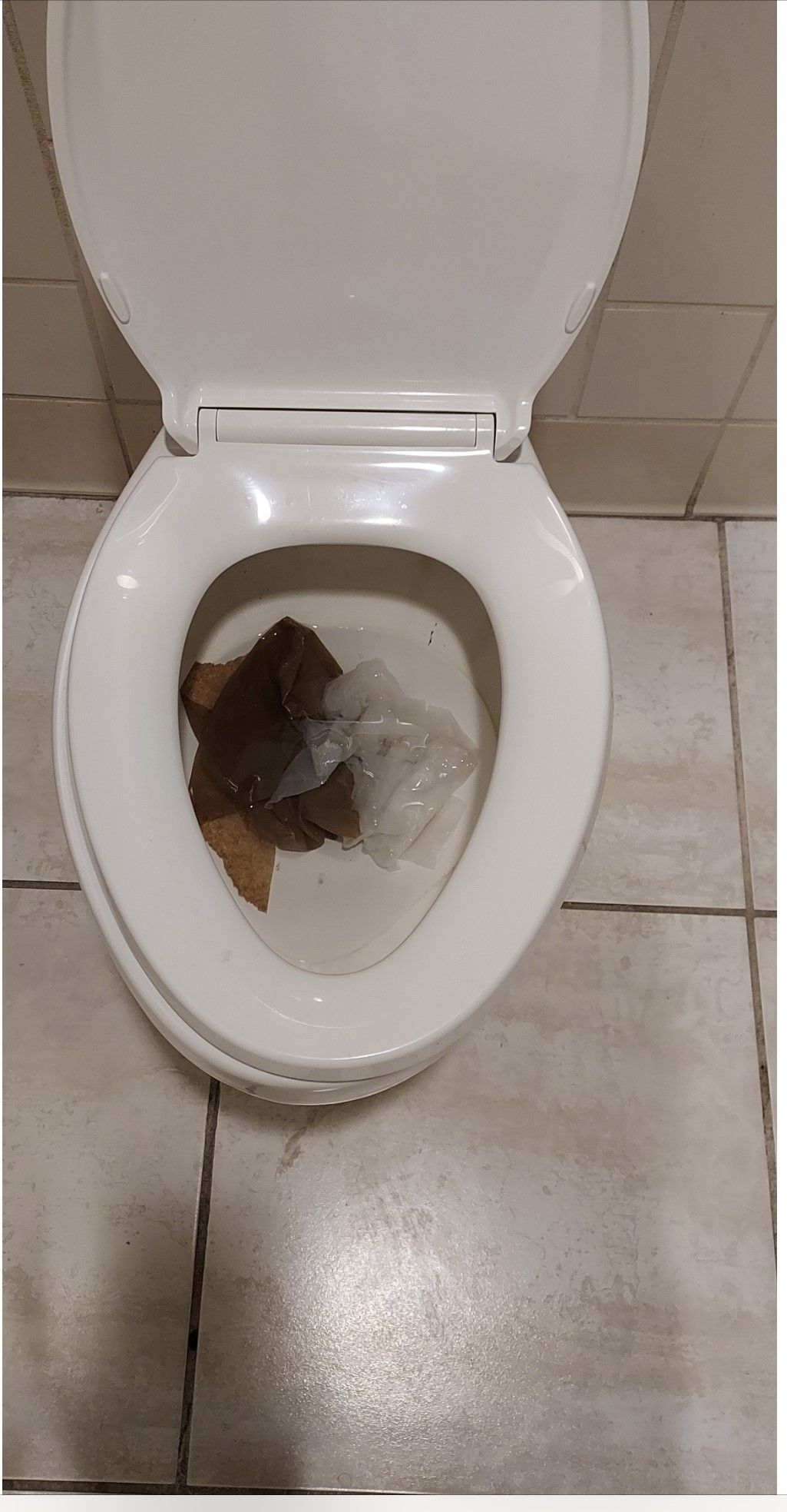Toilet bowl with contents visible. White seat, tiles.