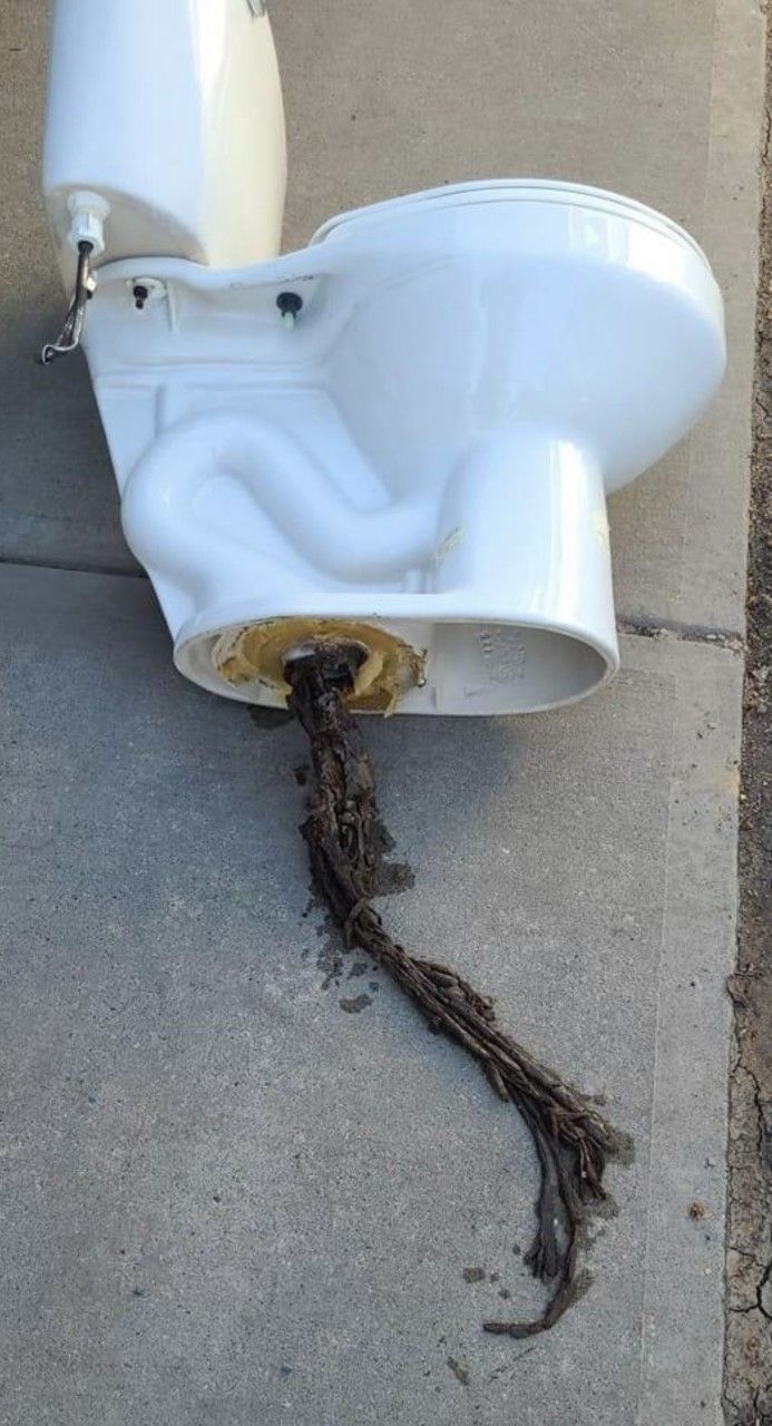 White wall-mounted toilet paper holder with a dark, dangling string against a concrete wall.