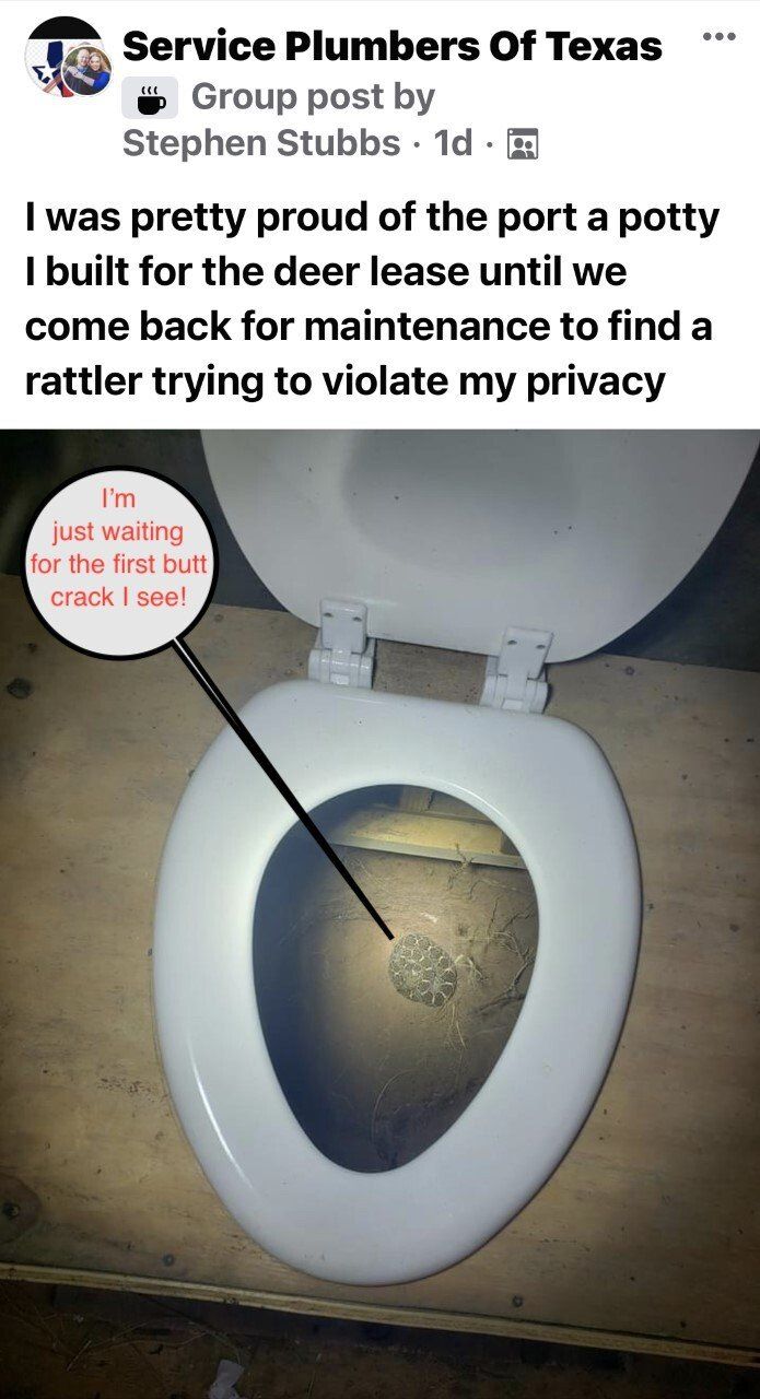 A toilet with a rattlesnake inside. A text bubble says,