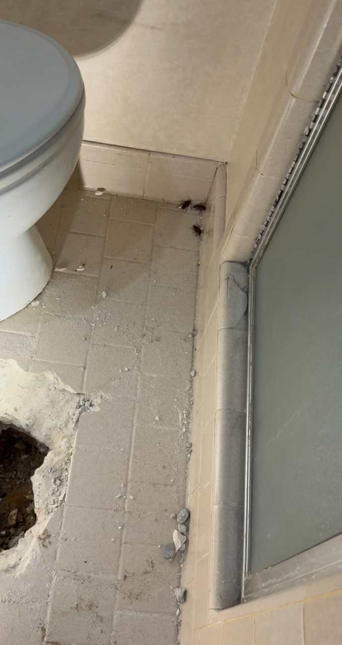 Bathroom corner with toilet, tile floor, and shower door frame, showing a damaged hole in the floor