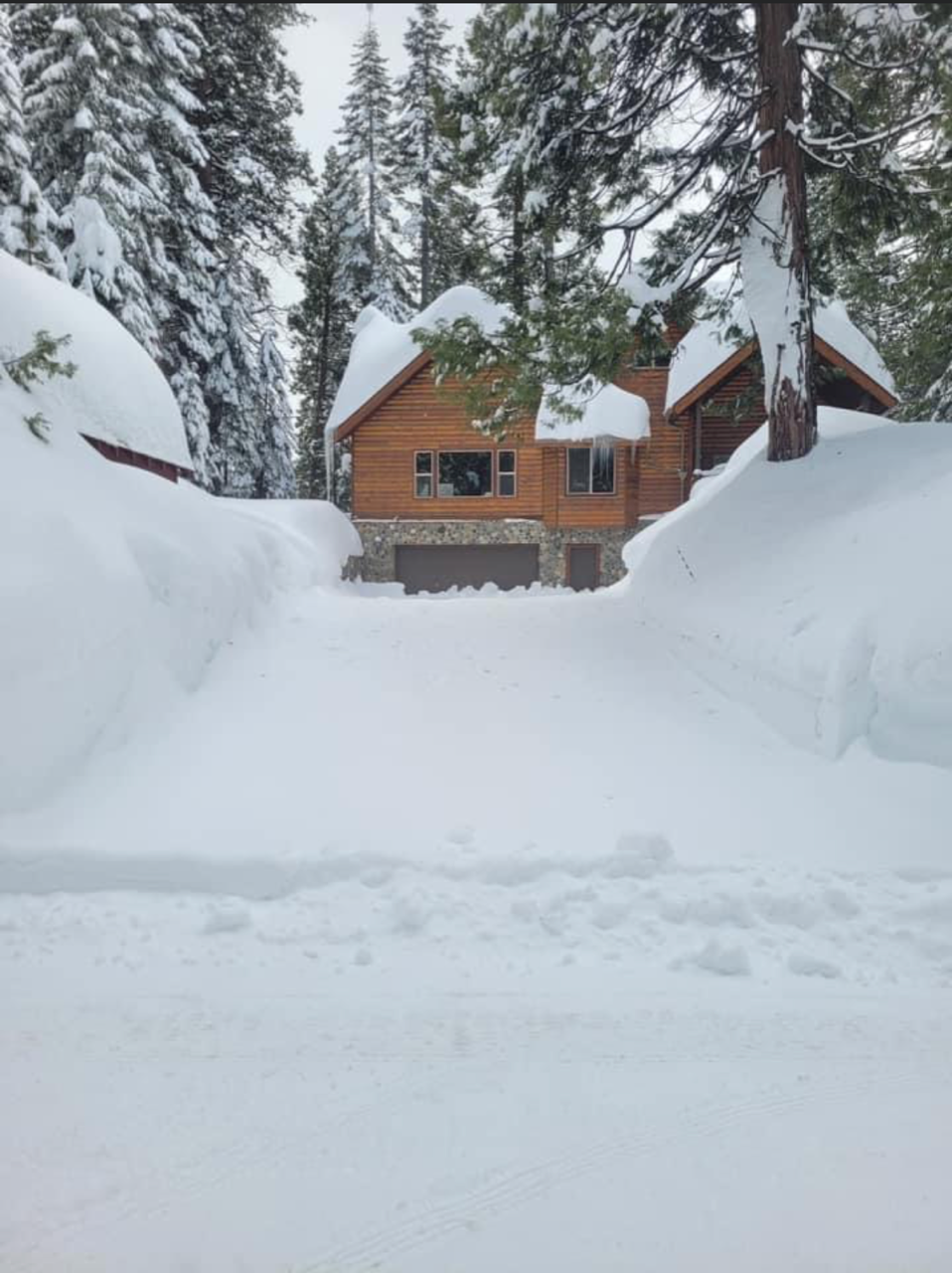 Snow-covered log cabin in a forest, framed by deep snowbanks and tall pine trees.