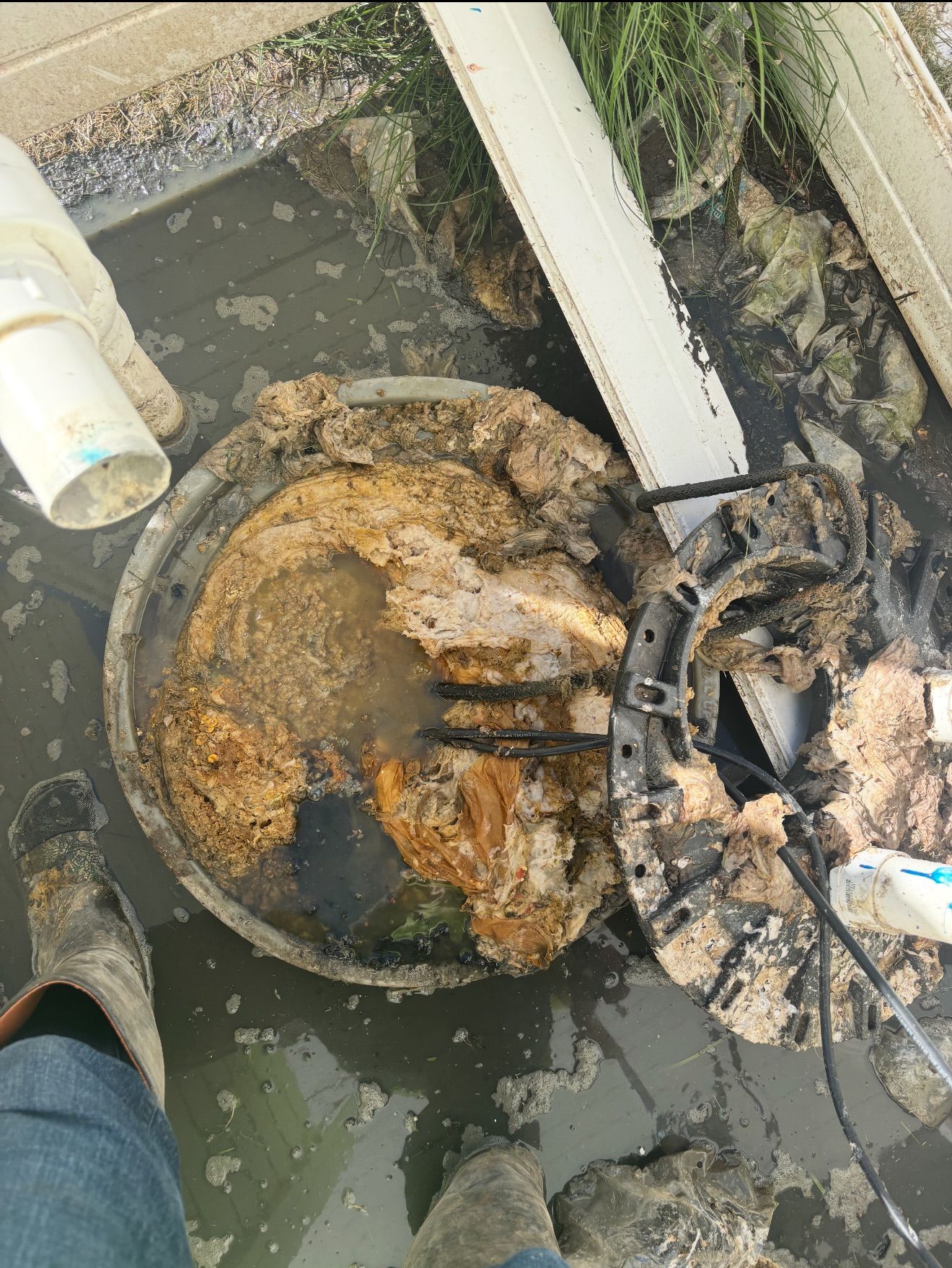 Clogged drain with muddy water, debris, and a broken pipe beside a wall.