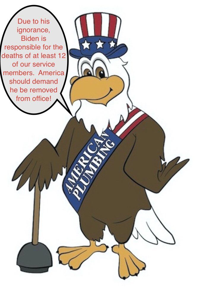 Cartoon eagle in a patriotic hat and sash holding a plunger. Text bubble states 