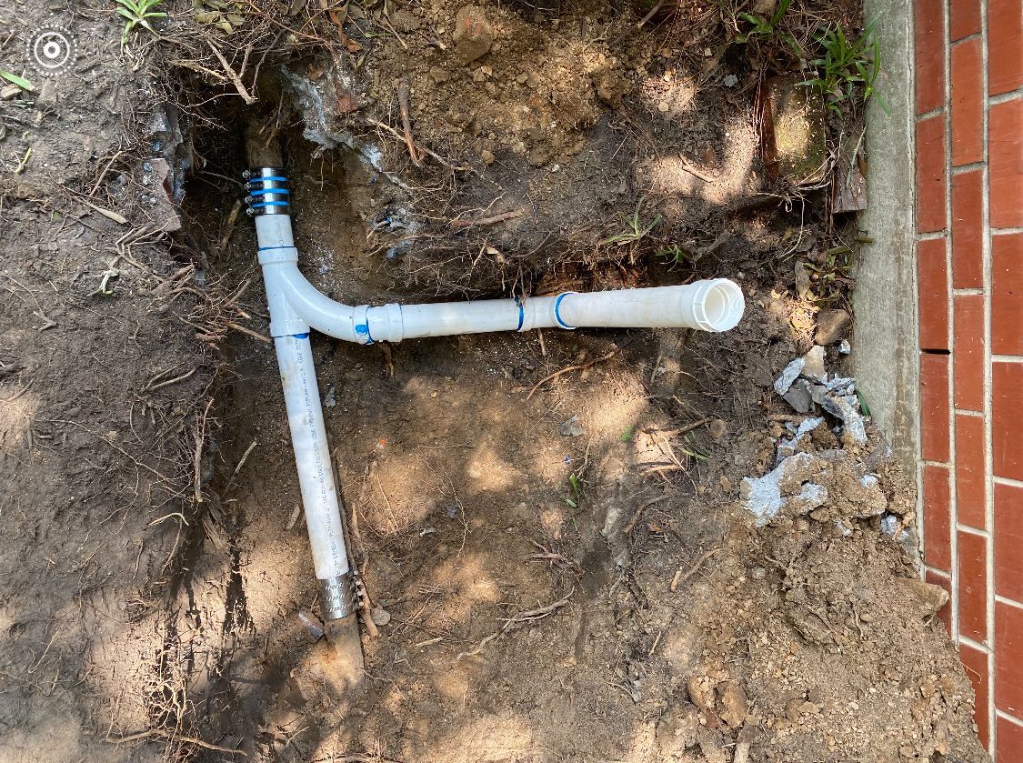White PVC pipe assembly in a dirt trench beside a brick wall and tree roots.