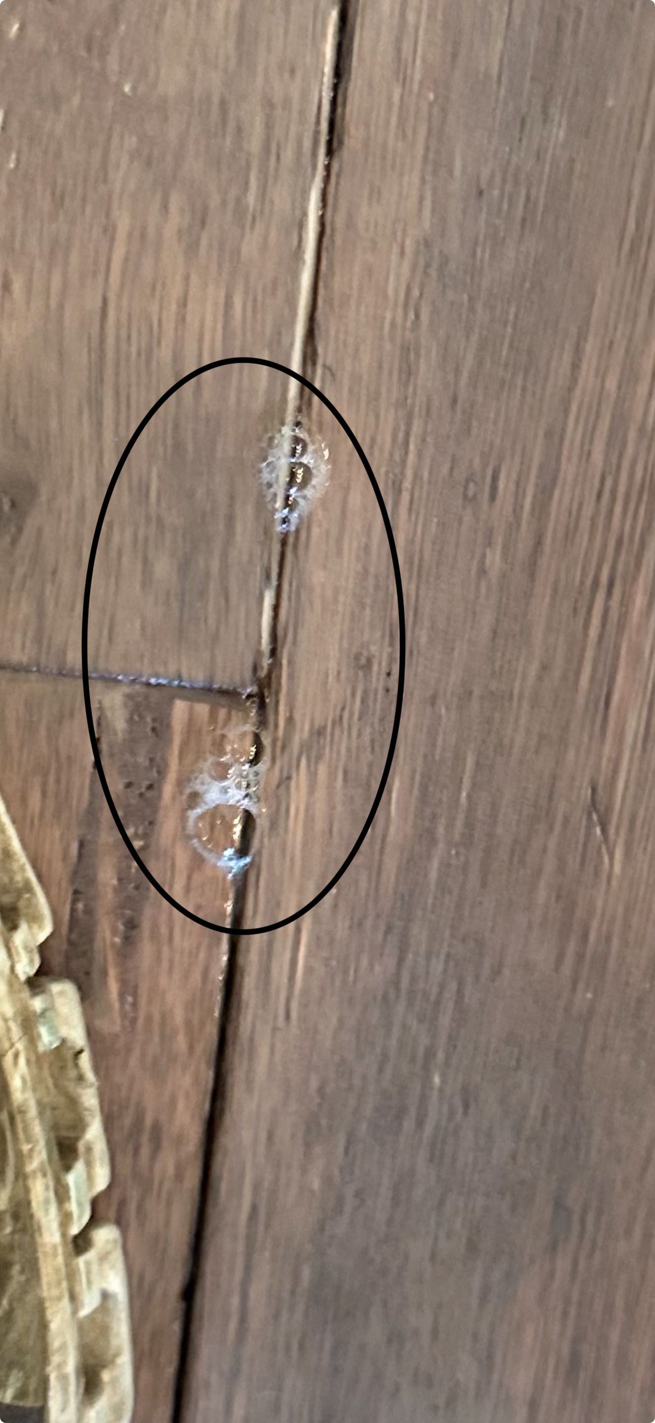 Close-up of a wooden surface with a circled crack or chipped seam near the center