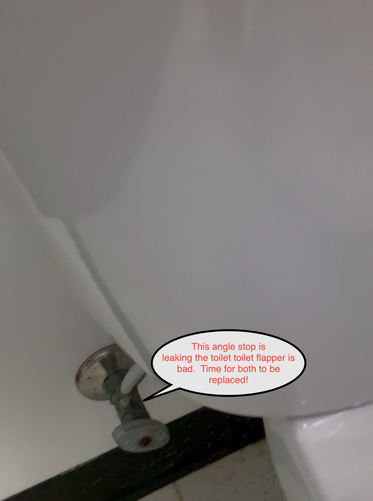 Close-up of a white sink with a faucet. Text bubble says, 