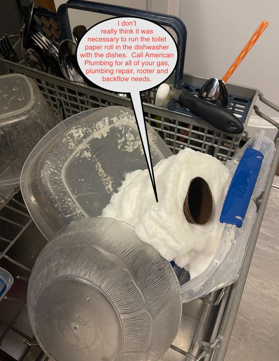 Dishes and a wad of toilet paper in a dishwasher. Text: 