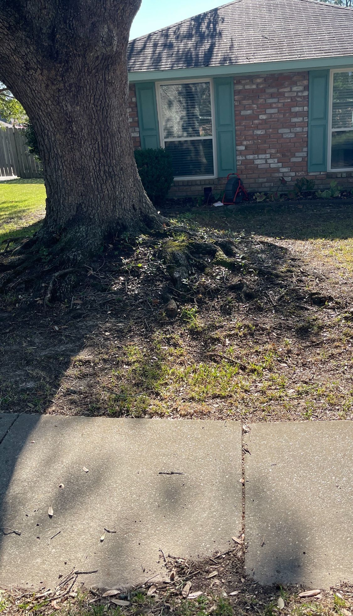 A large tree trunk in front of a brick house with teal shutters.