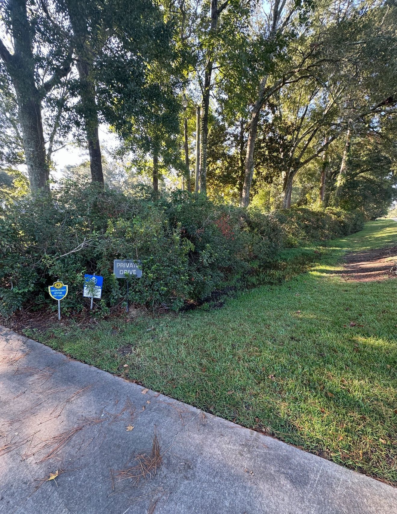 Wooded path beside grass and shrubs, with small blue signs near the edge