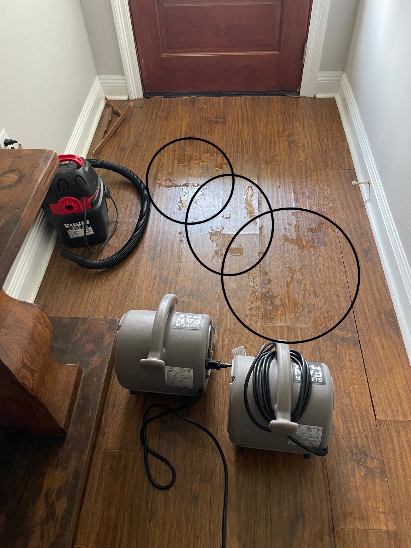 Wet wood floor with three circular wet spots, a shop vac and two industrial fans near a doorway.