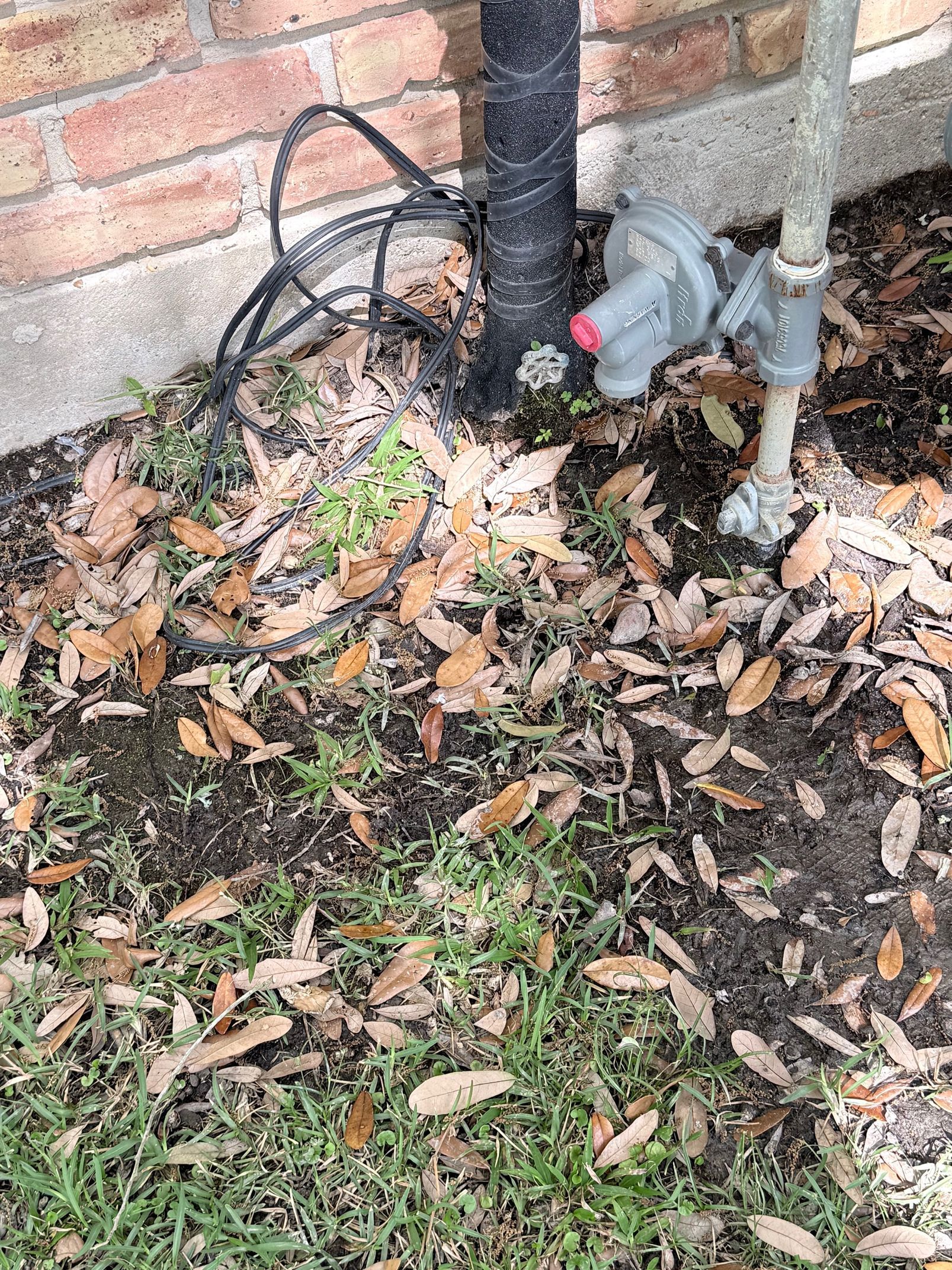 Leaf-covered ground beside a brick wall and utility pipes with a black cable and bottle at the base.