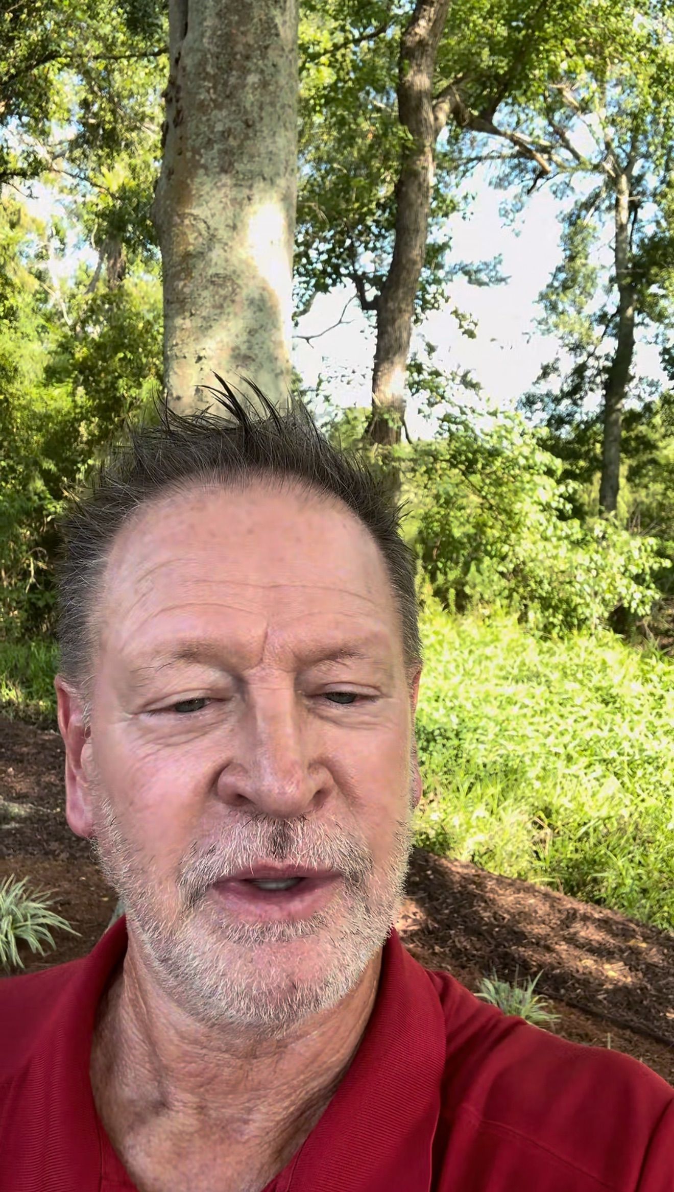 Man in a red shirt outdoors among trees and greenery, with sunlight filtering through the leaves