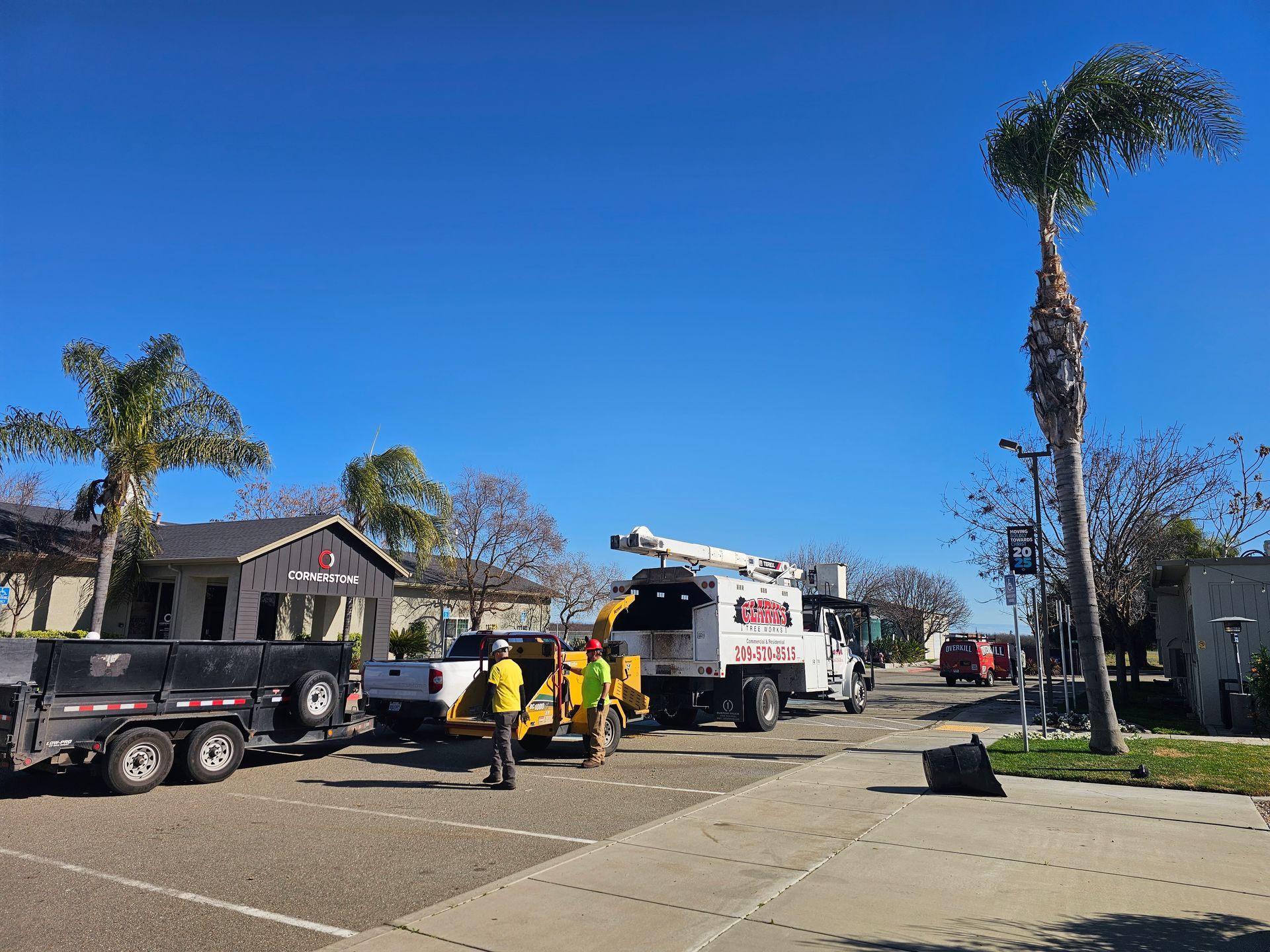 A group of trucks are parked on the side of the road.