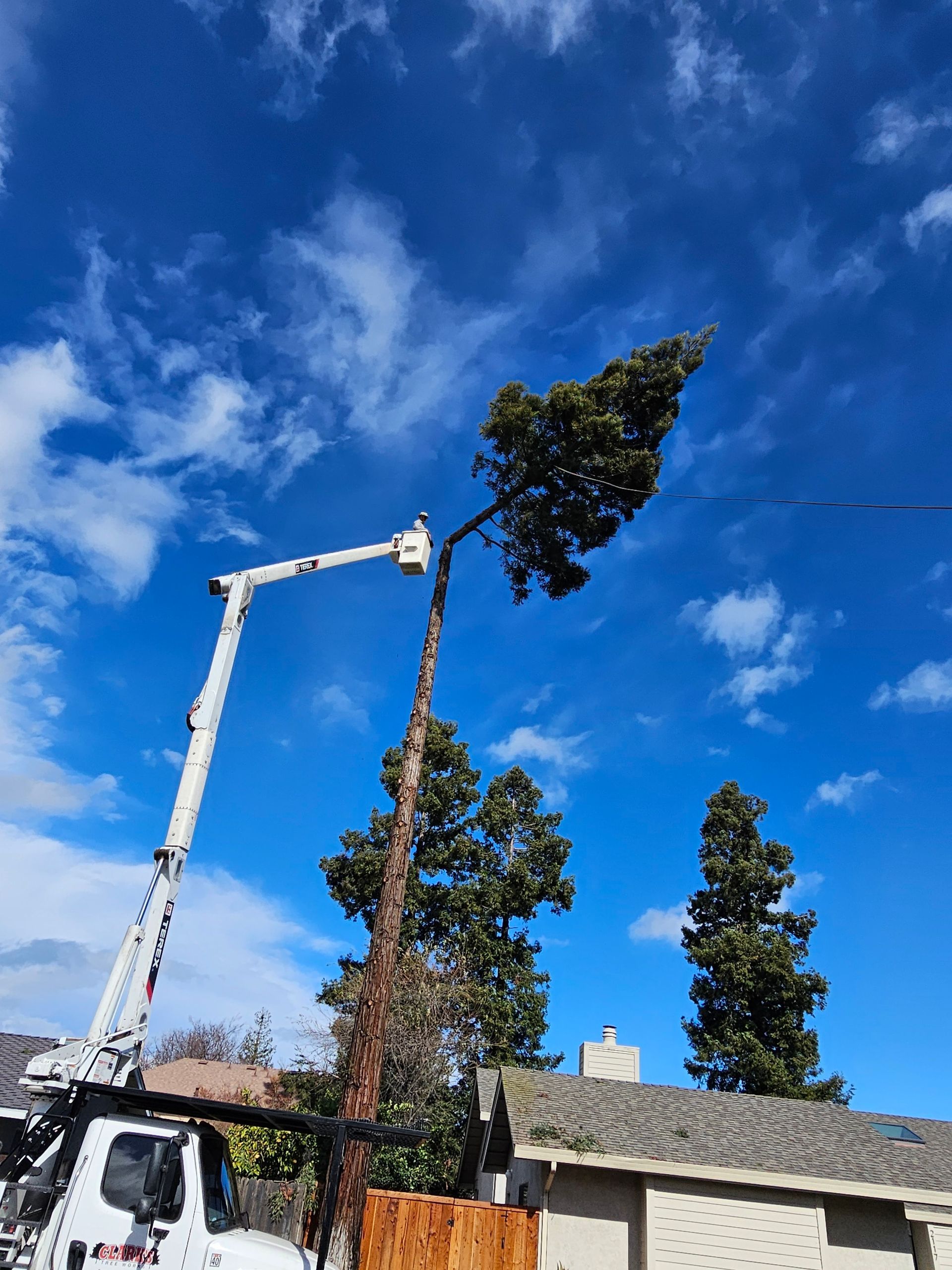 A tree is being cut down by a crane in front of a house.
