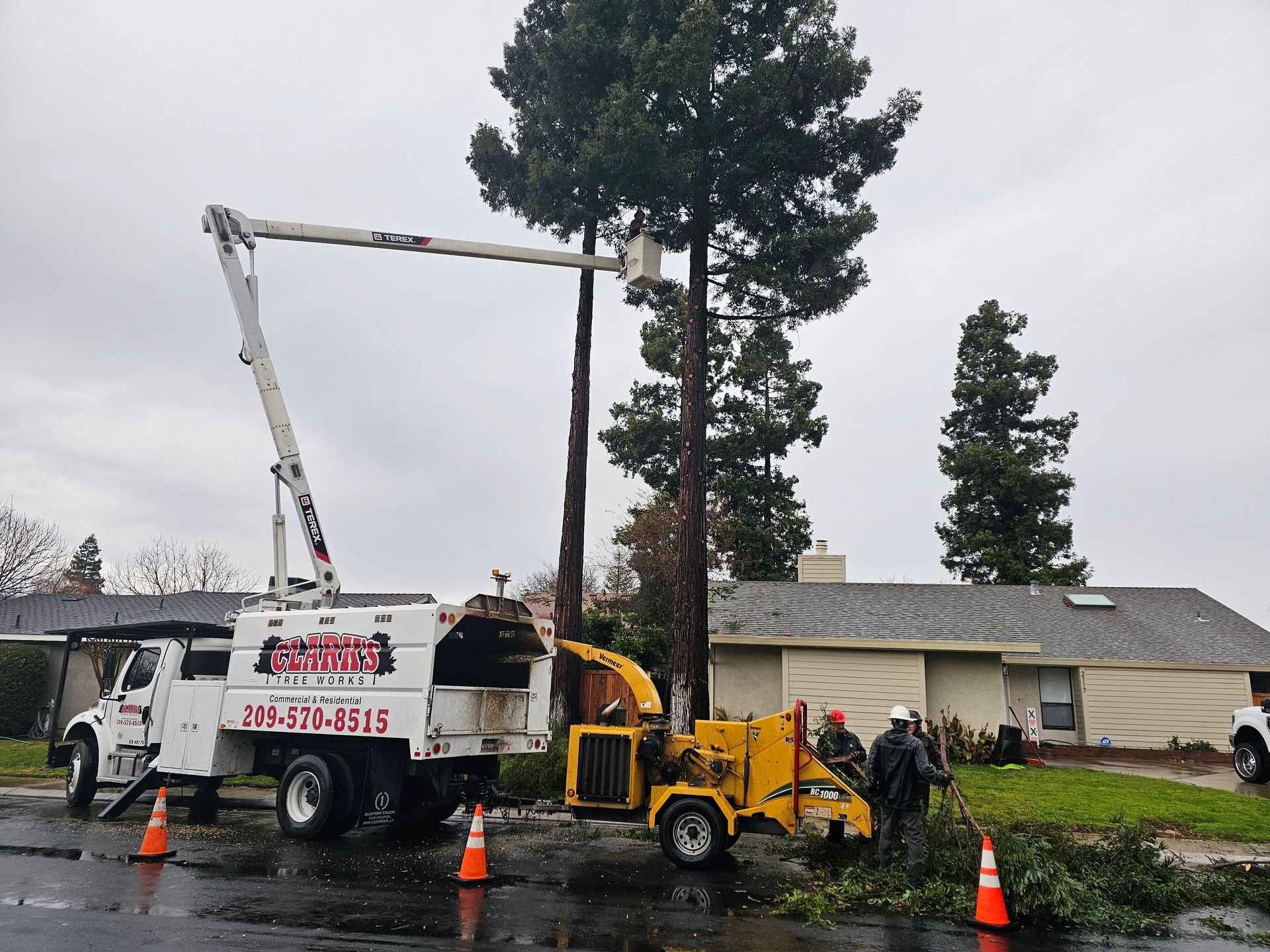 A tree is being cut down by a tree surgeon truck