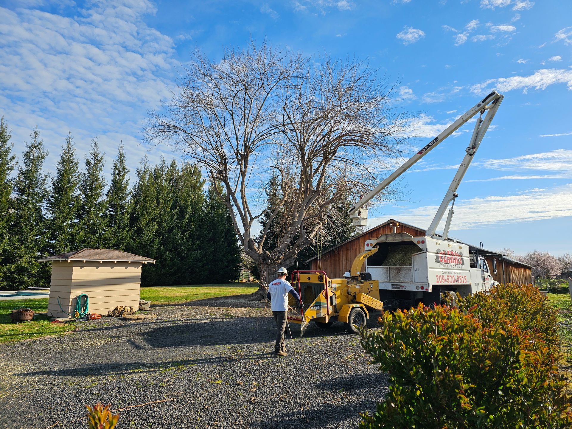A man is standing in front of a tree stump grinder.