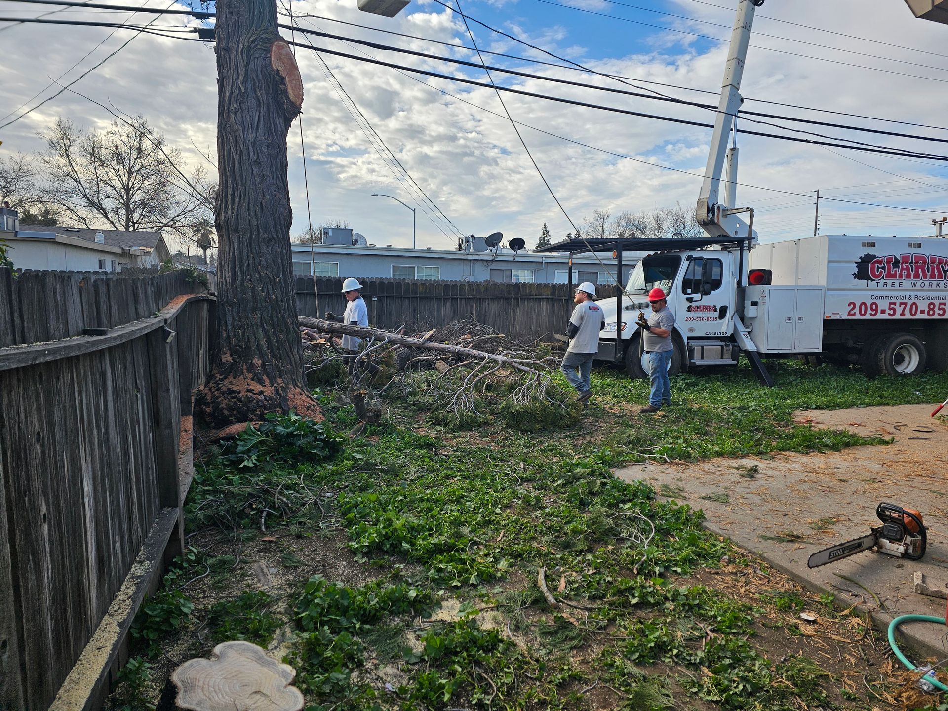 A group of men are cutting down a tree in a backyard.