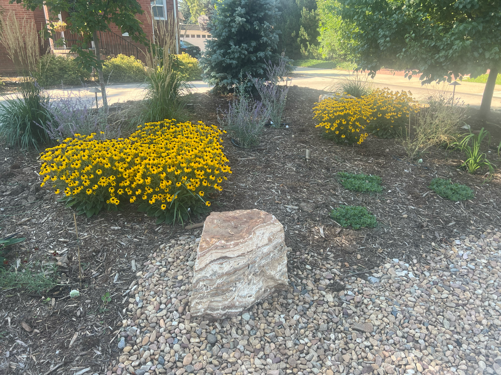 Stone marker in a garden bed with yellow flowers and mulch.
