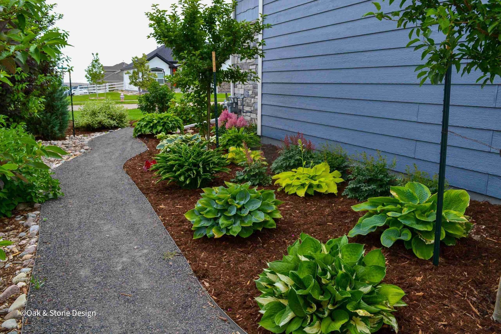 Gravel path curves through a garden bed with lush green plants, bordering a blue house.