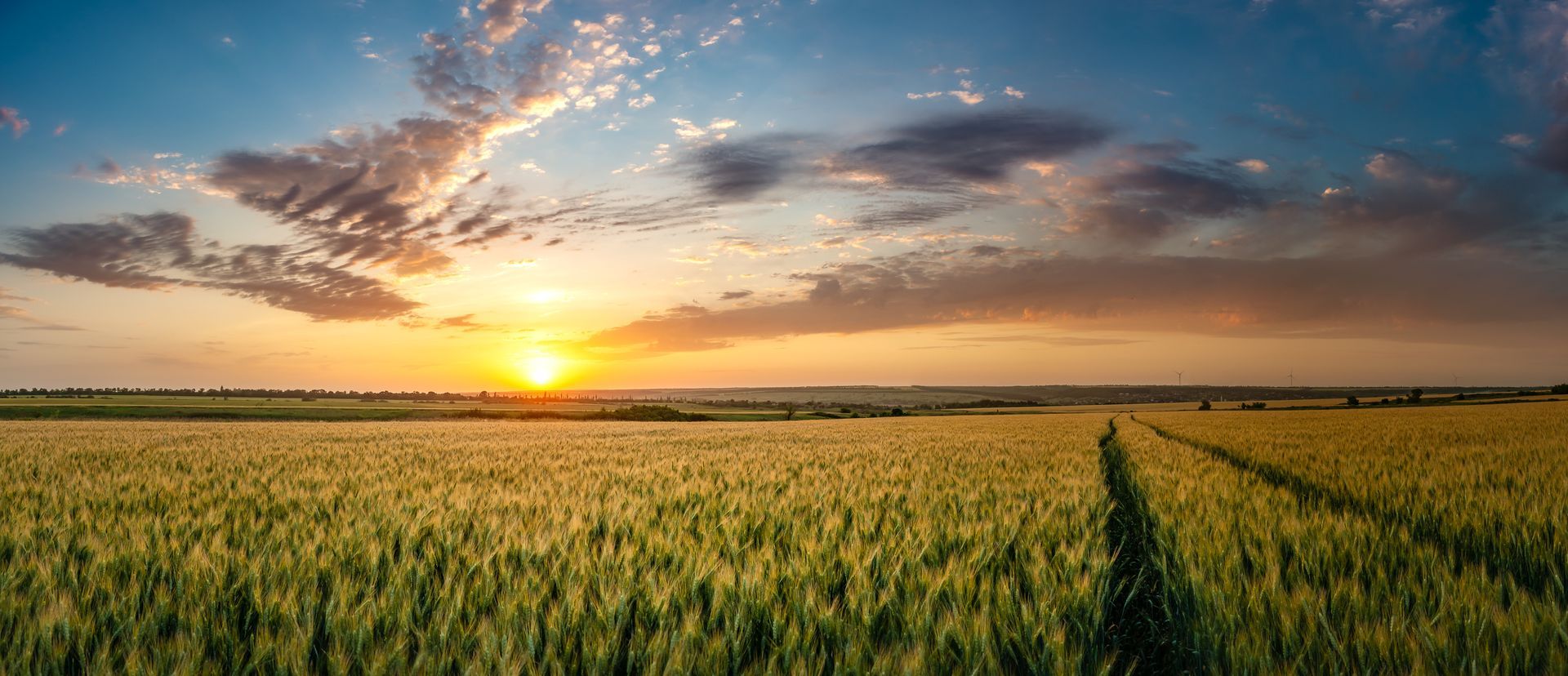 Sunset over a green field with a dirt path and dramatic clouds