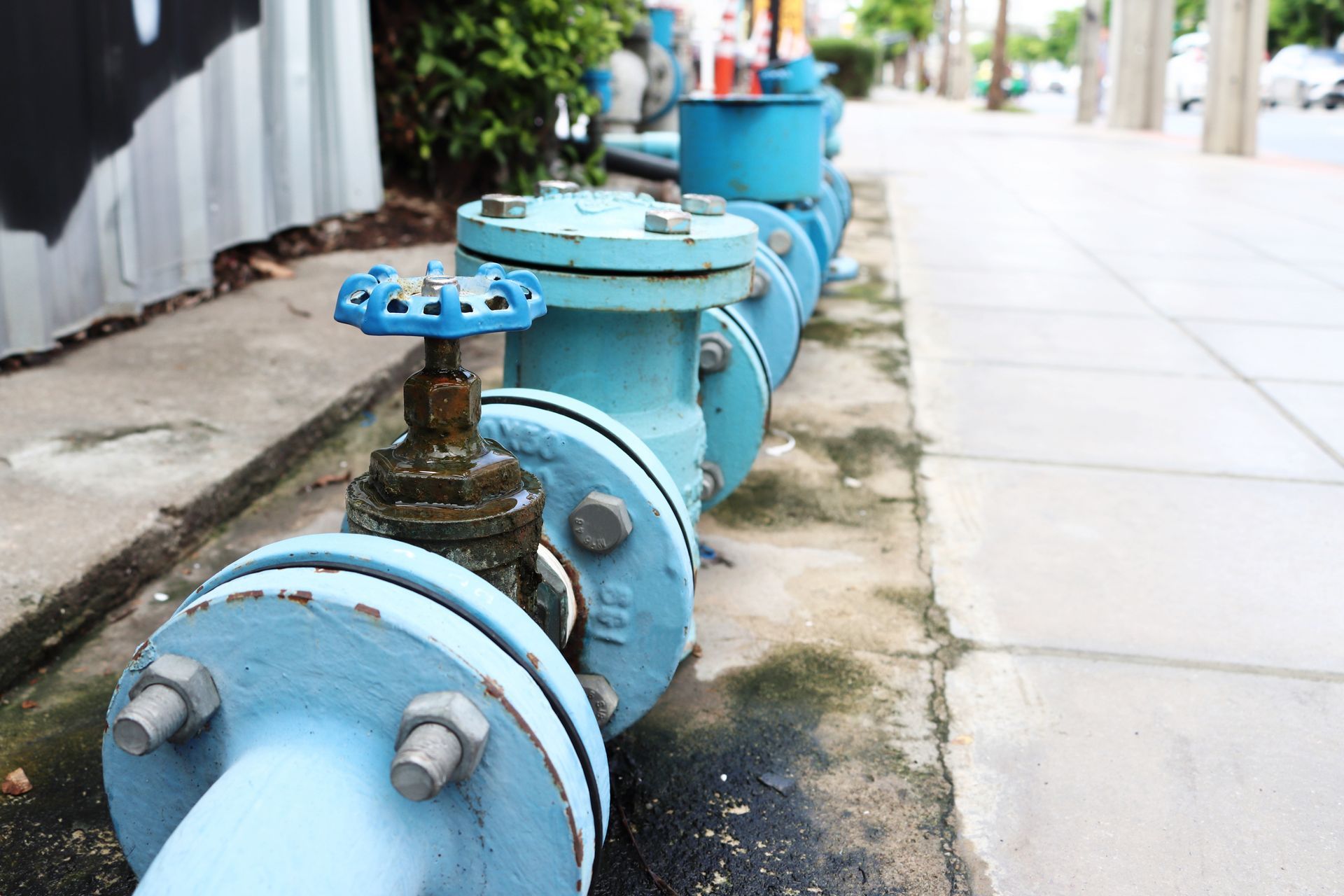 Blue water pipes with valves lined up along a sidewalk by a wall