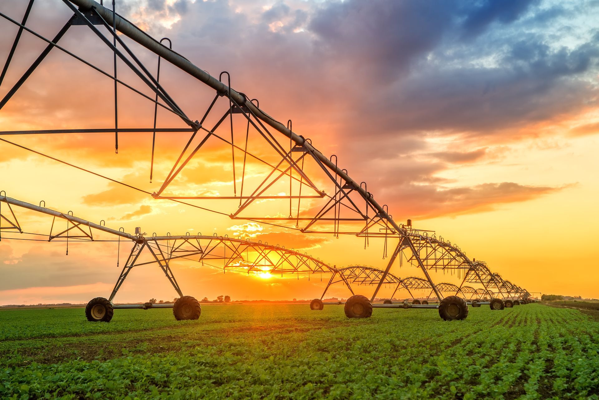 Irrigation equipment watering a green field at sunset