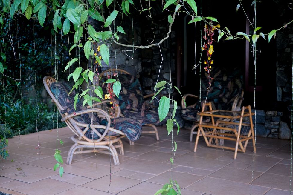 Tropical patio with wicker chairs and a hanging vine canopy at night