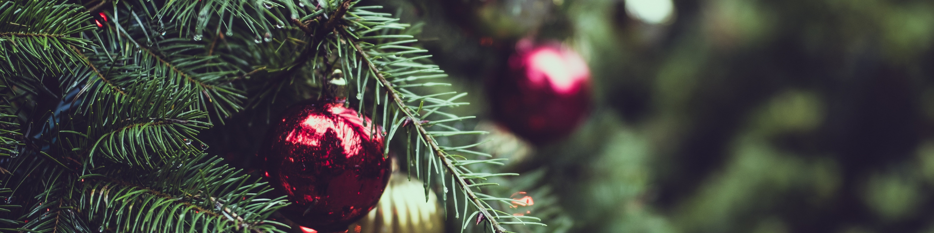 A close up of a christmas tree with decorations hanging from it.