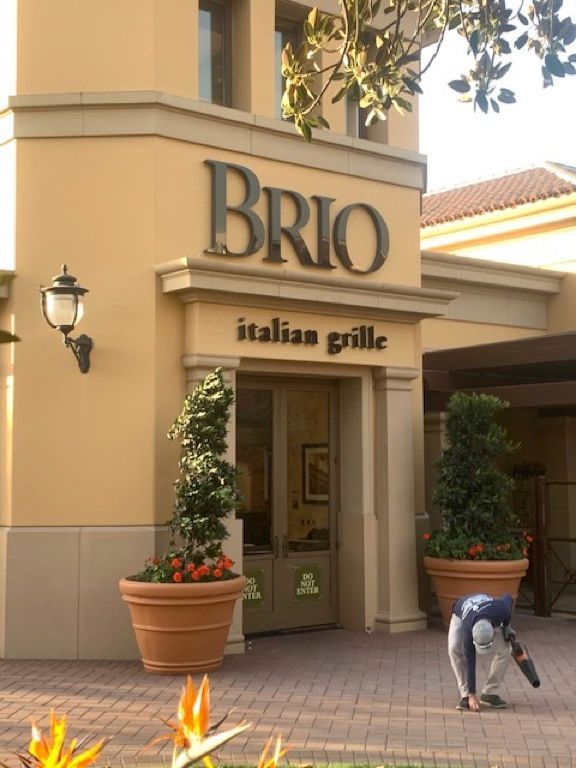 A brio italian grille building with potted plants in front of it