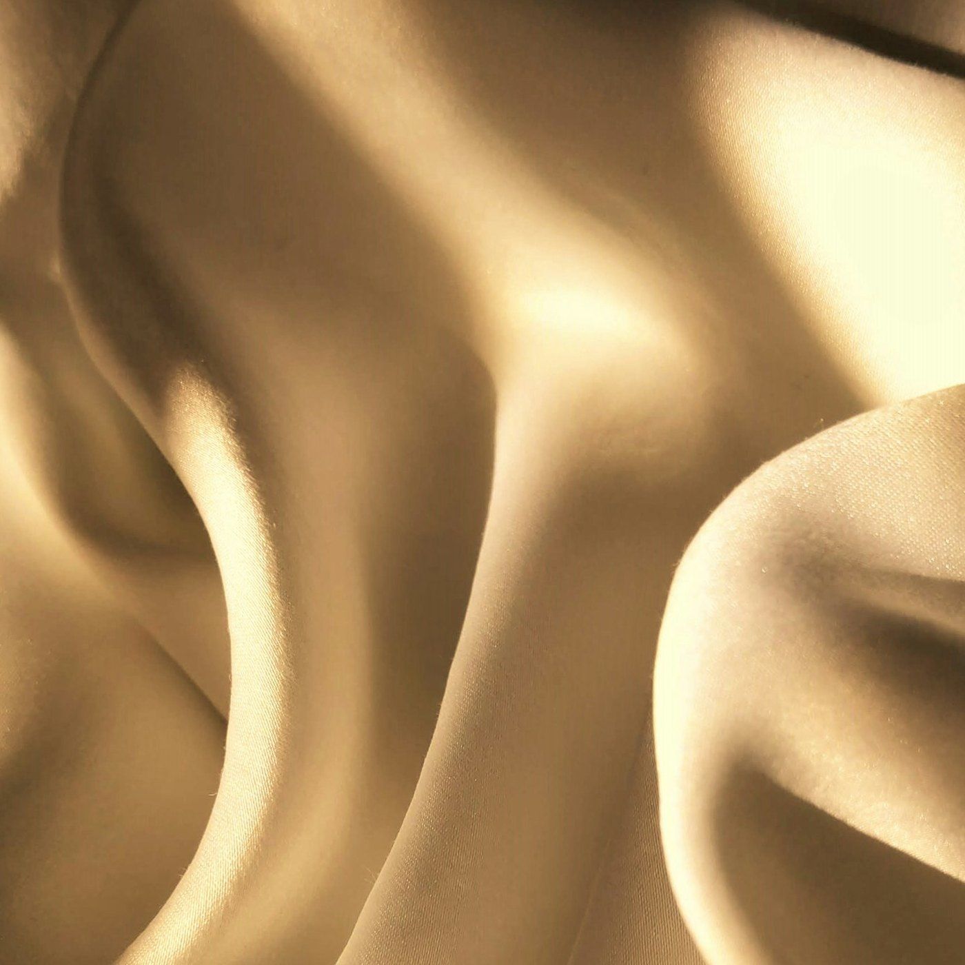 Warm gold silk, part of the Aevum brand palette