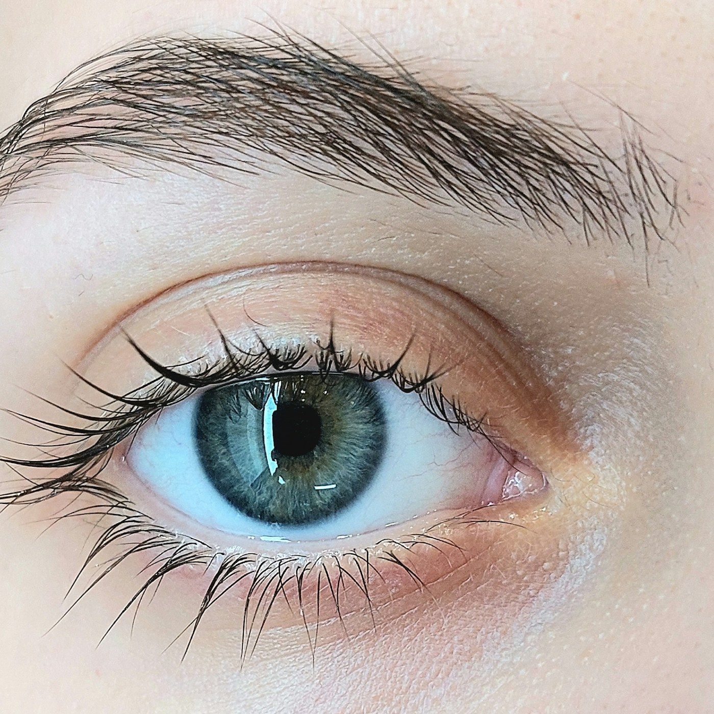 A beauty model with full, well shaped brows