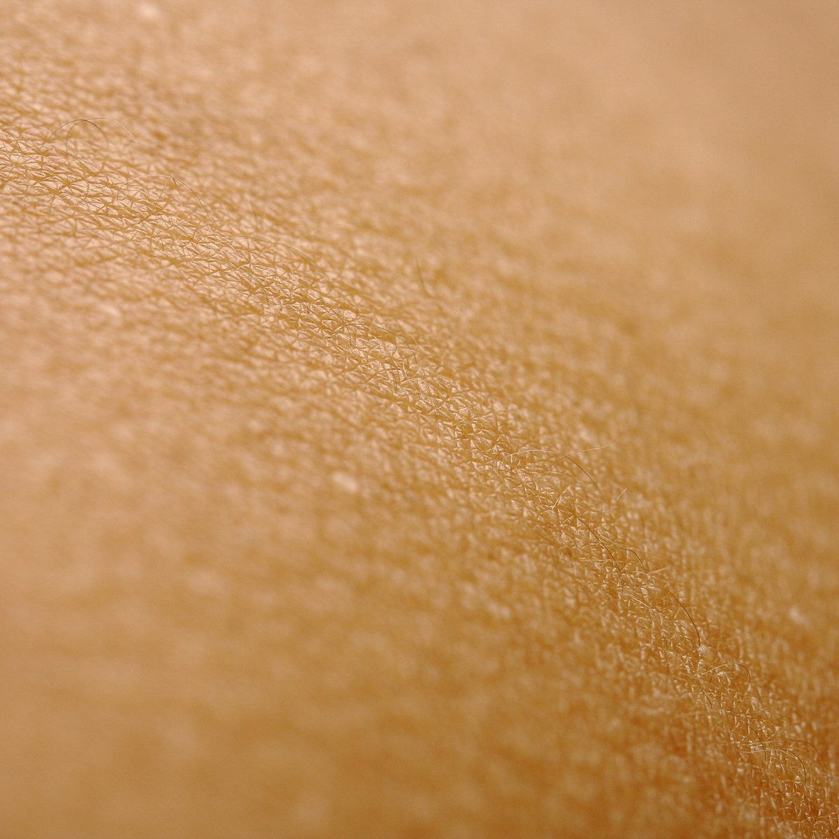 Refined skin texture and an even warm tone