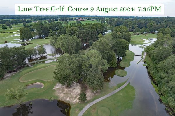 An aerial view of the lane tree golf course
