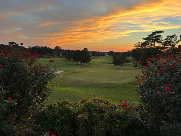 A sunset over a golf course with flowers in the foreground