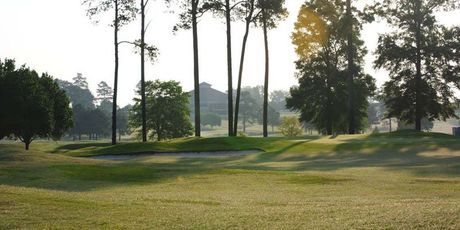 The sun is shining through the trees on a golf course