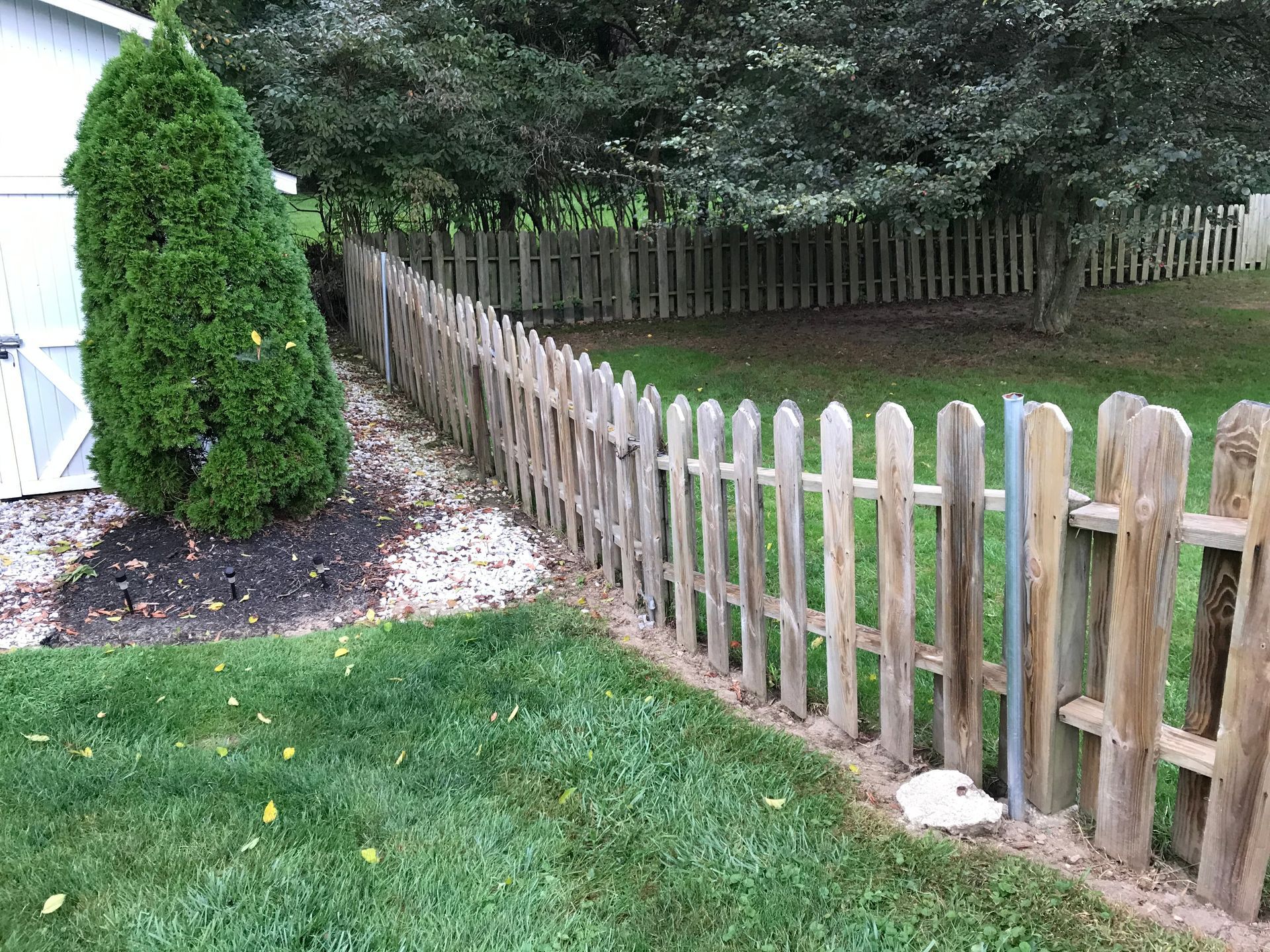 Wooden picket fence bordering a green lawn and dark mulch bed, with a small evergreen tree and a larger tree in the background.