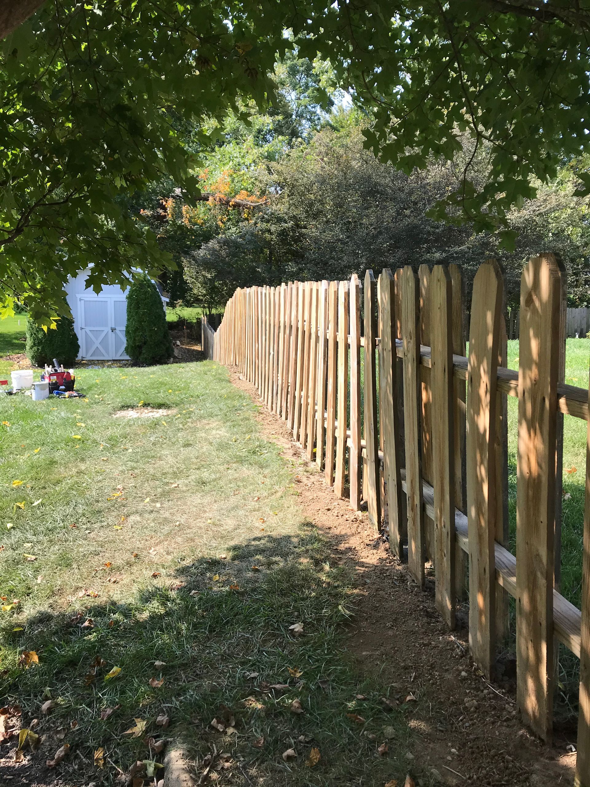 A wooden fence curves along a grassy yard, under the shade of a tree on a sunny day.