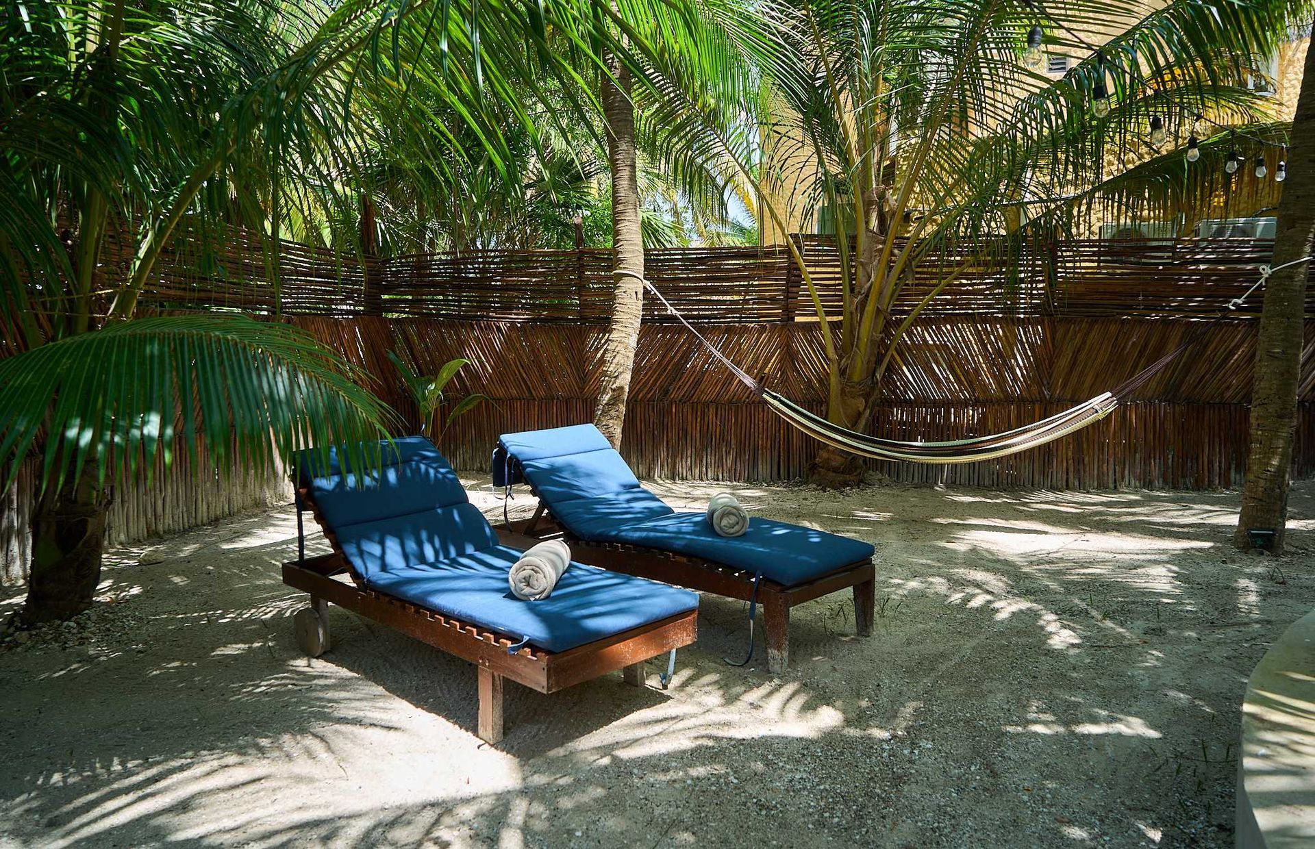 Dos tumbonas azules bajo palmeras en un patio tropical arenoso, con una hamaca al fondo.