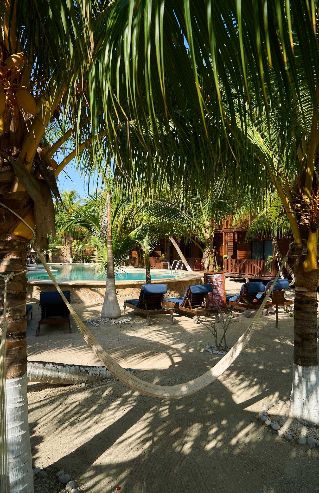 Zona de piscina sombreada del complejo, con palmeras, tumbonas y sendero de grava iluminado por el sol.