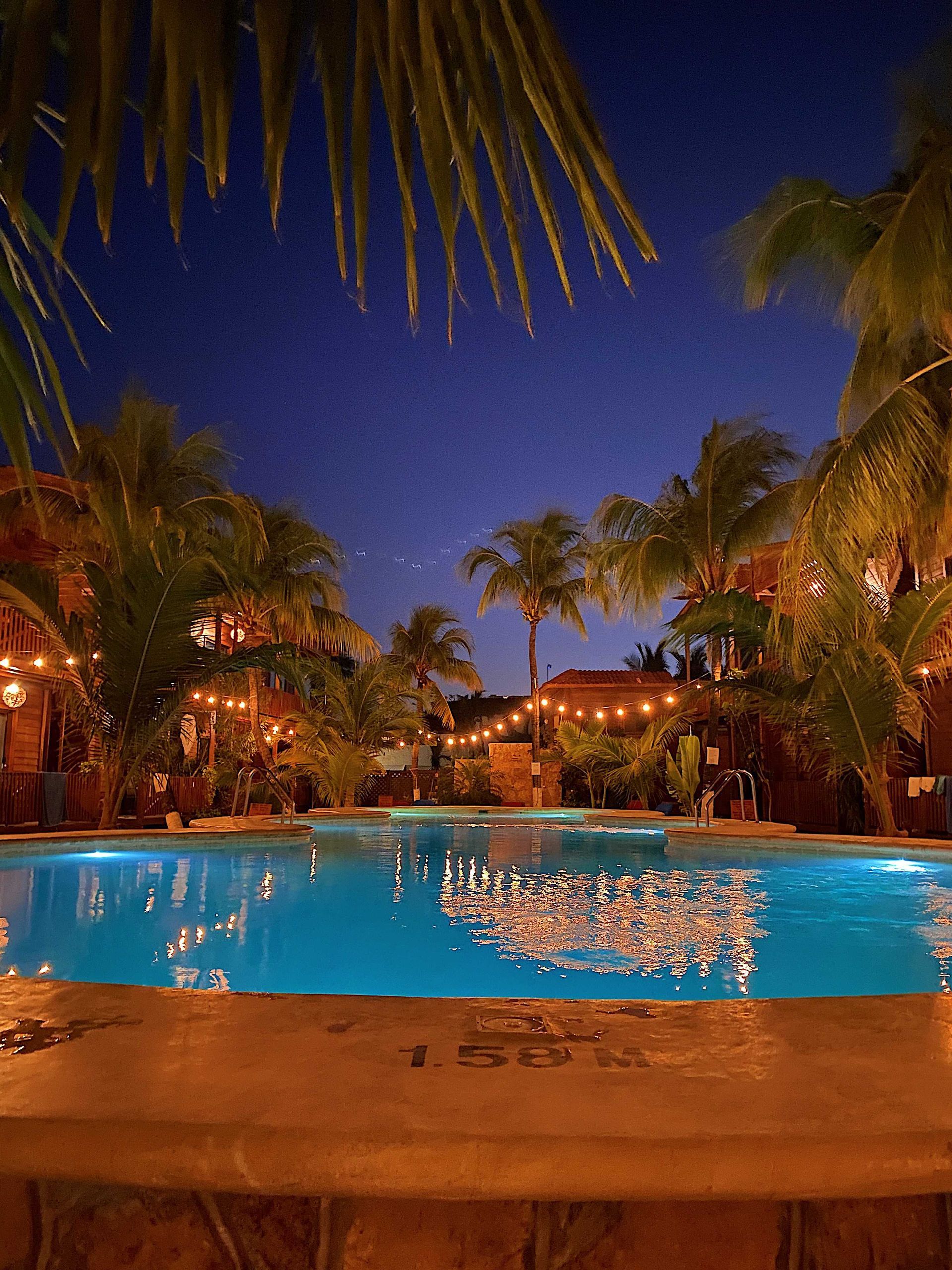 Piscina de resort rodeada de palmeras y un ambiente tropical al atardecer.