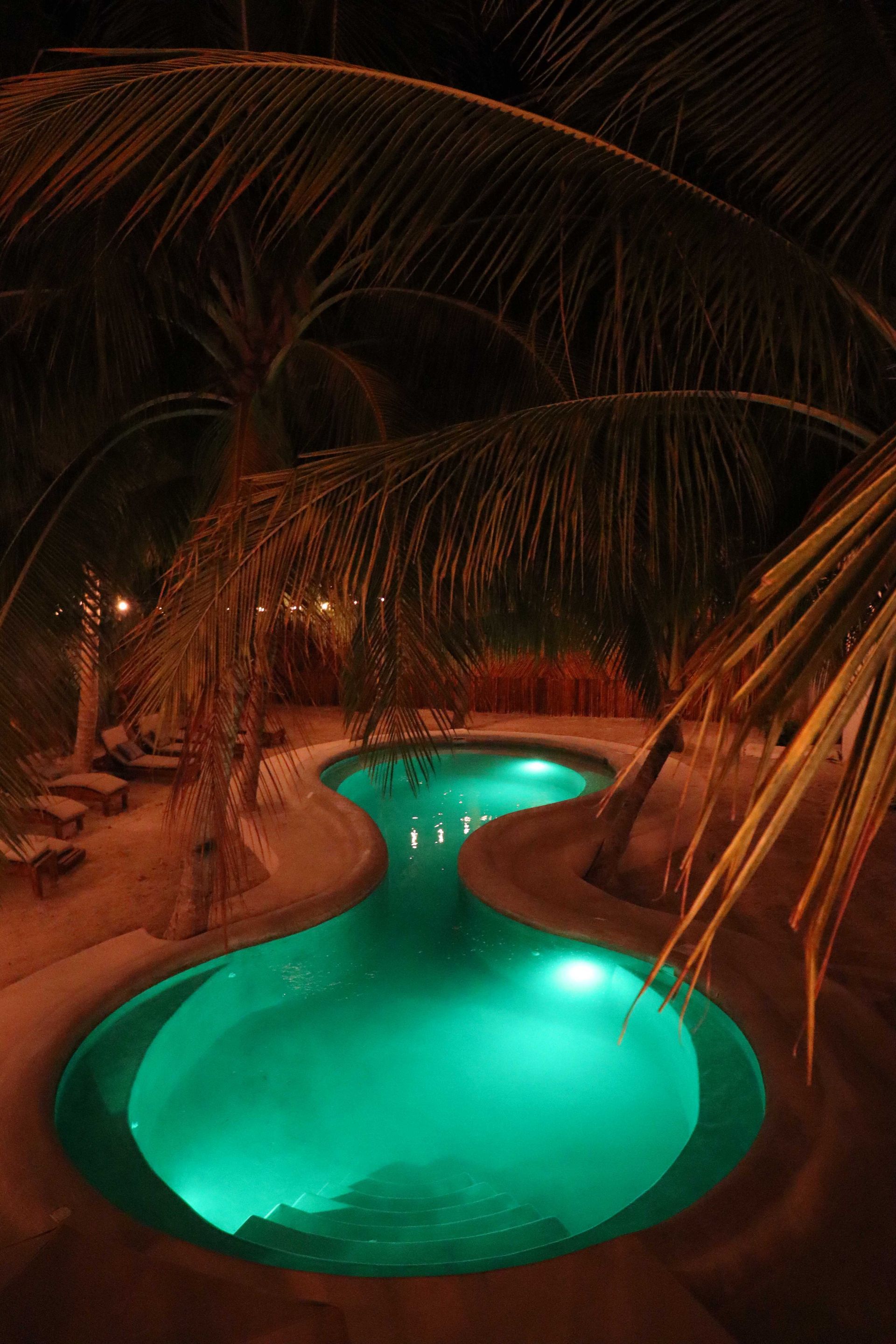 Dos piscinas de color turquesa brillante por la noche, enmarcadas por hojas de palmera y luces ambientales cálidas.