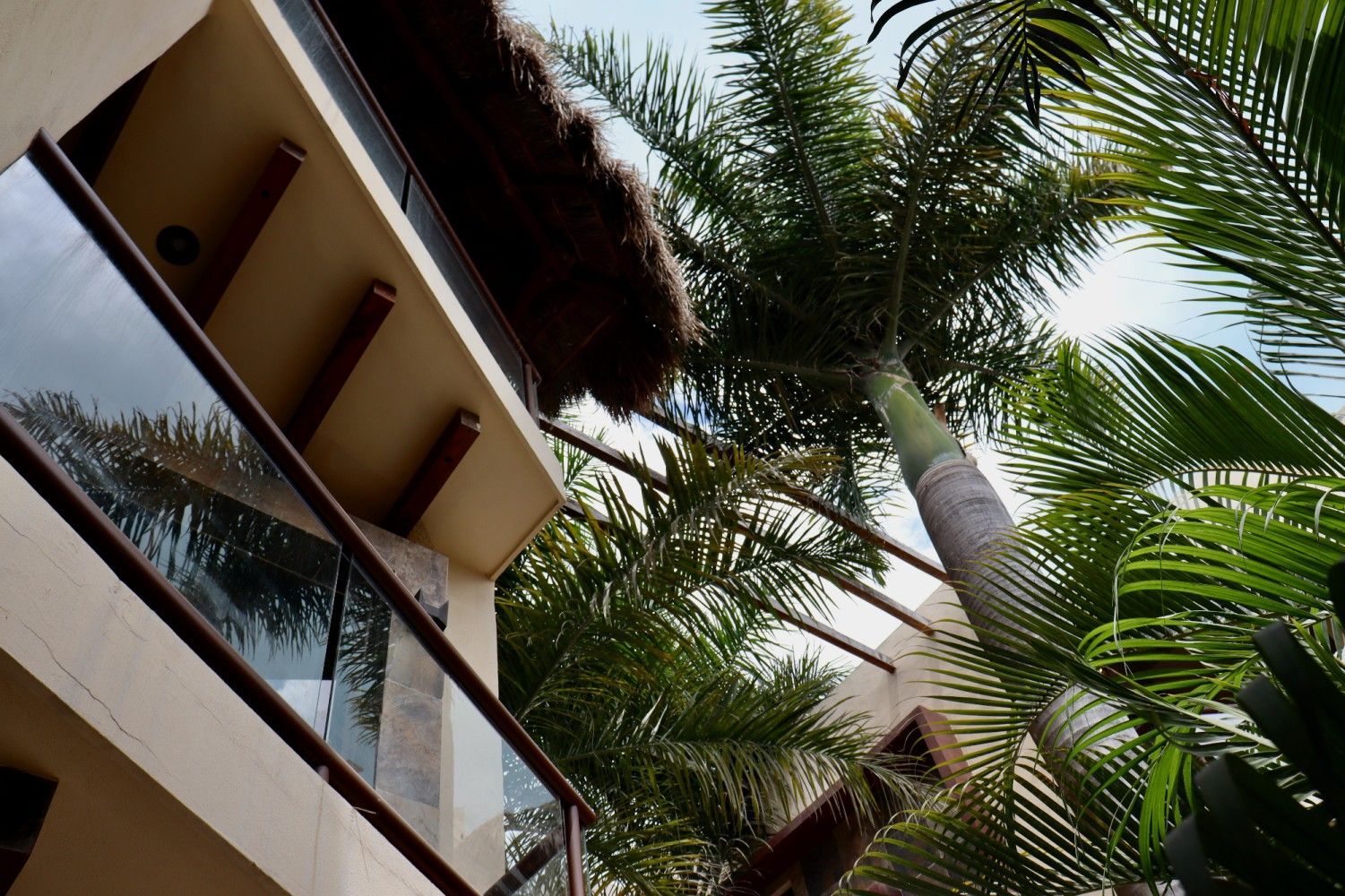 Balcón tropical con barandilla de cristal, palmeras y techo de paja visto desde abajo.