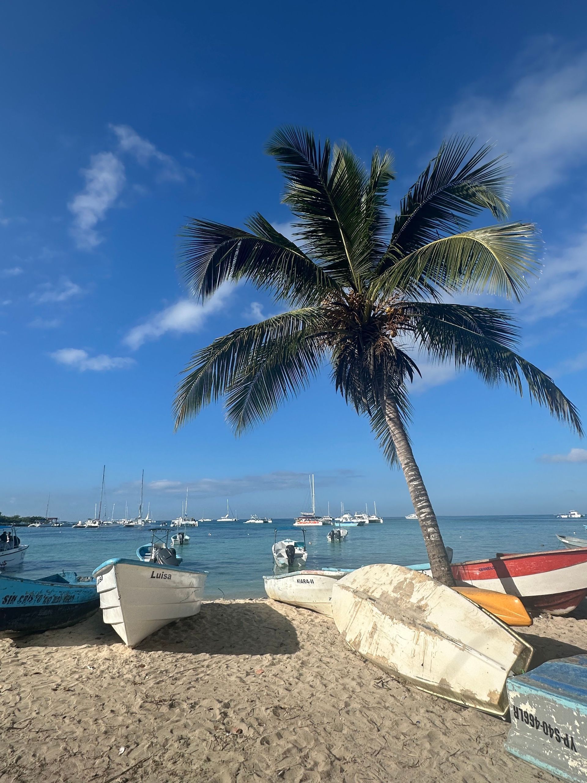Playa de arena con una palmera inclinada, pequeñas embarcaciones en aguas azules tranquilas y un cielo despejado.
